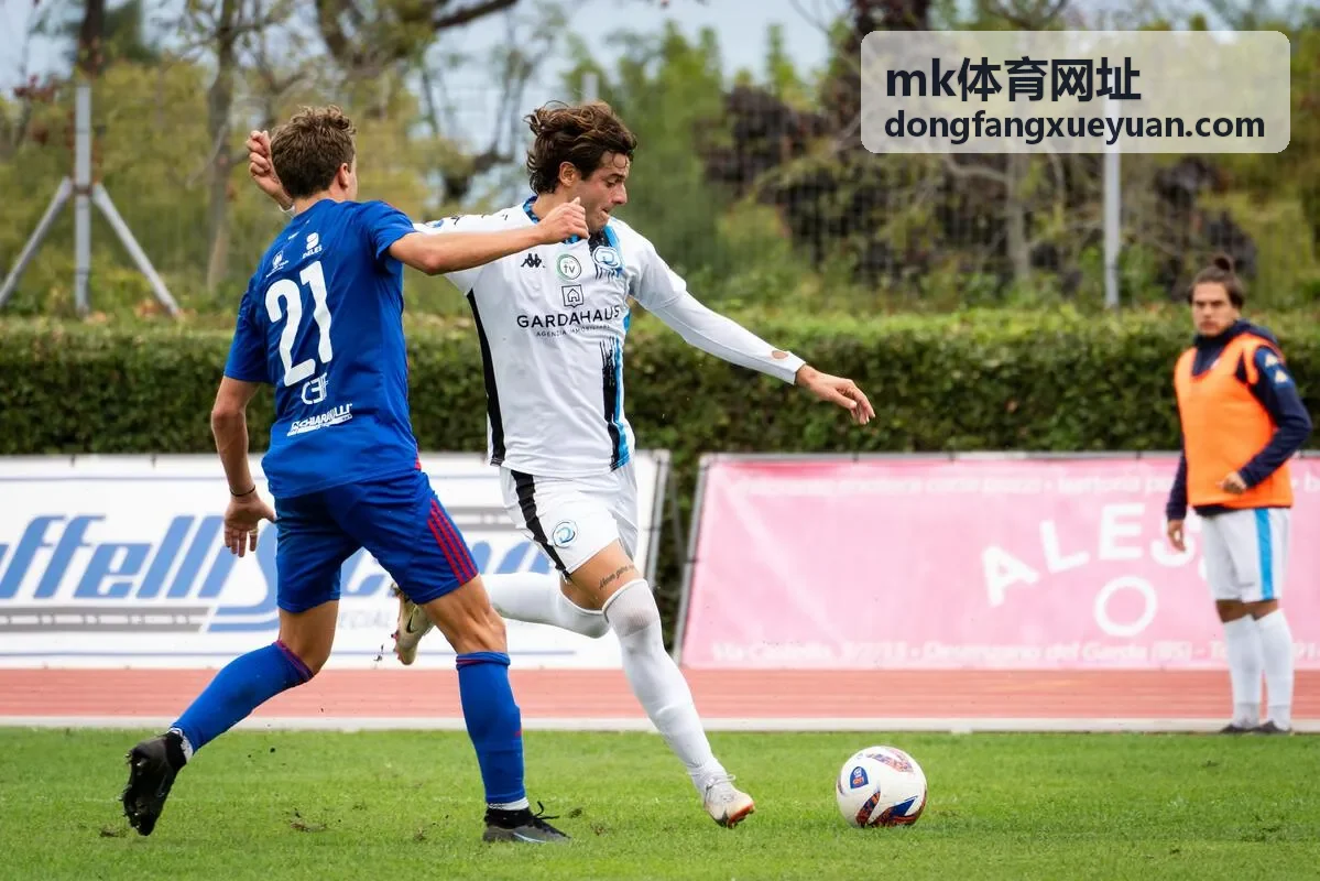 mk体育网址最新信息封面