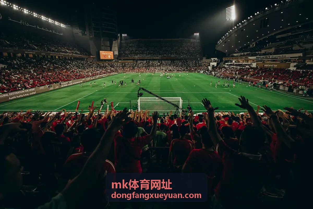 mk体育网址入口指引栏目封面