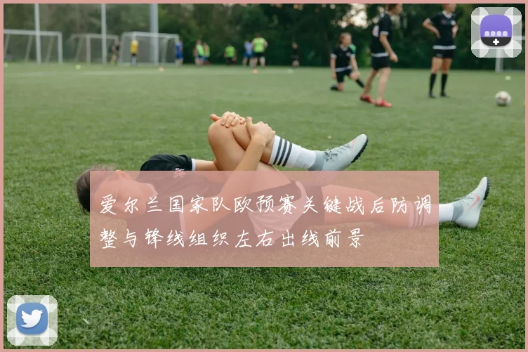 爱尔兰国家队欧预赛关键战后防调整与锋线组织左右出线前景