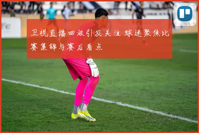 卫视直播回放引发关注 球迷聚焦比赛集锦与赛后看点
