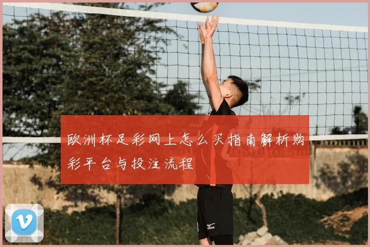 欧洲杯足彩网上怎么买指南解析购彩平台与投注流程