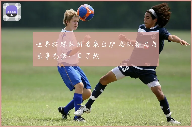 世界杯球队排名表出炉 各队排名与竞争态势一目了然