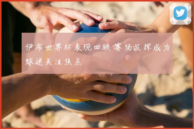 伊布世界杯表现回顾 赛场发挥成为球迷关注焦点