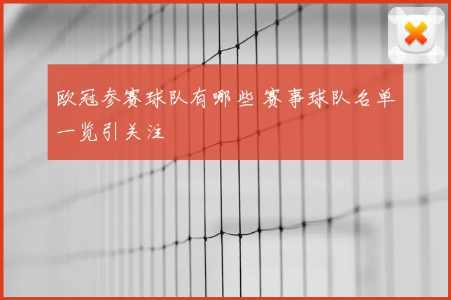 欧冠参赛球队有哪些 赛事球队名单一览引关注