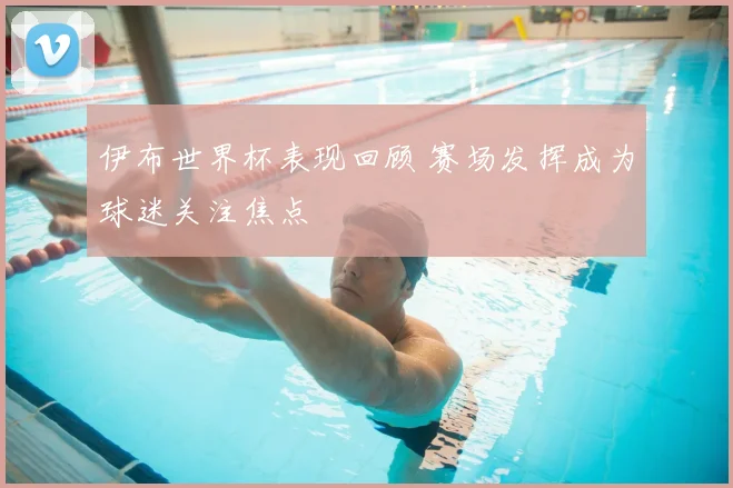 伊布世界杯表现回顾 赛场发挥成为球迷关注焦点